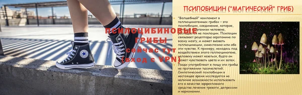винт Бородино