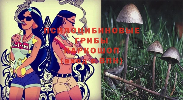 винт Бородино