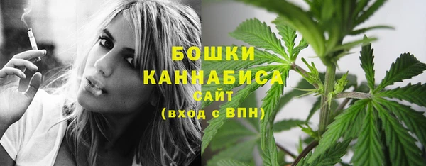 винт Бородино